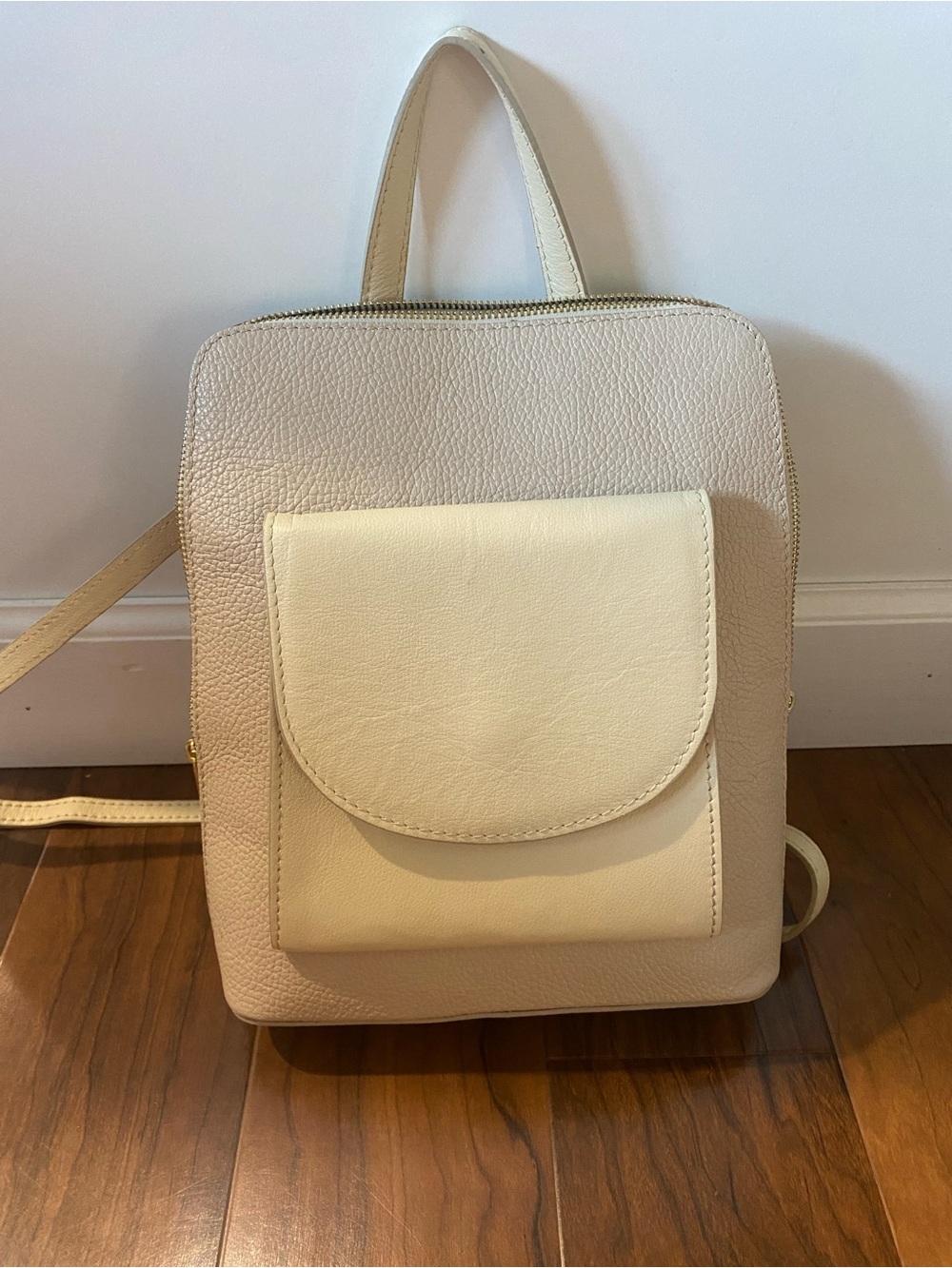 Divina Firenze leather backpack purse